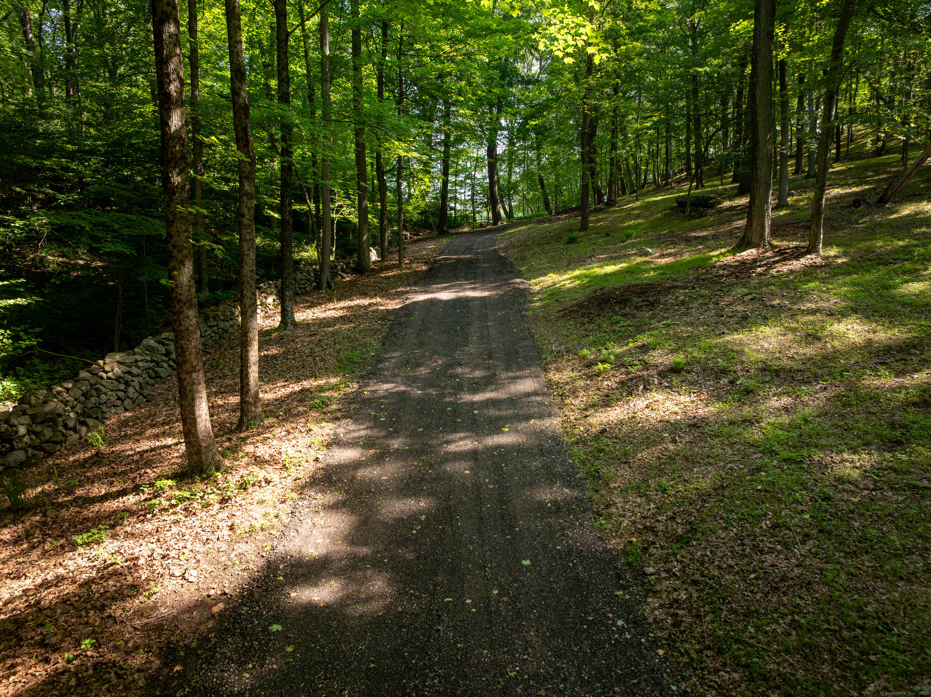 81 Mountain Road