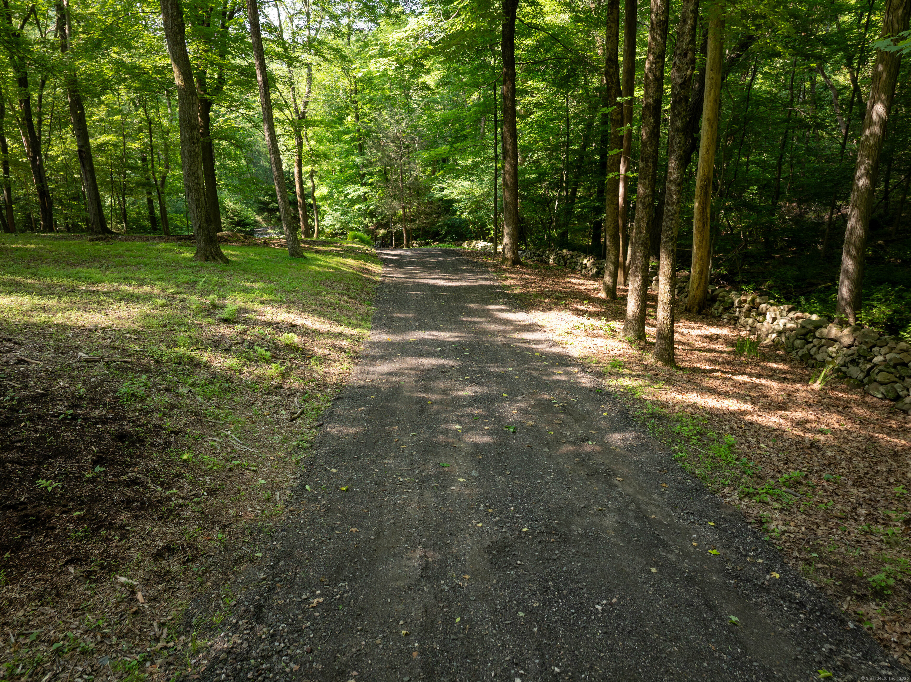 81 Mountain Road
