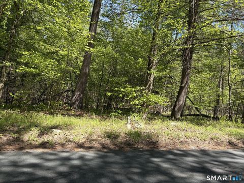 Photo of 16 E West Hill Road, Barkhamsted, CT 06063 (MLS # 24176097)