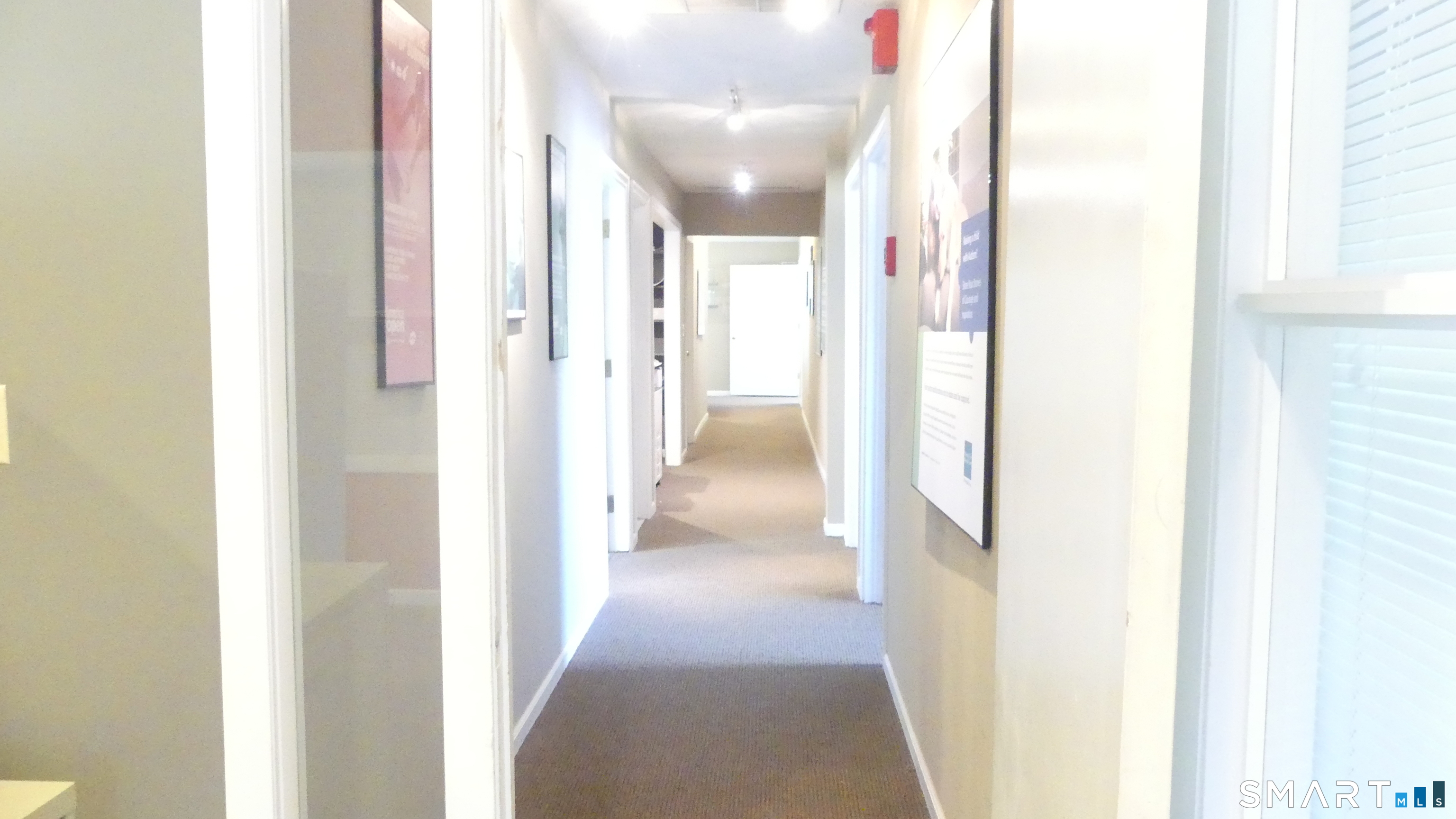 23 Amity Road