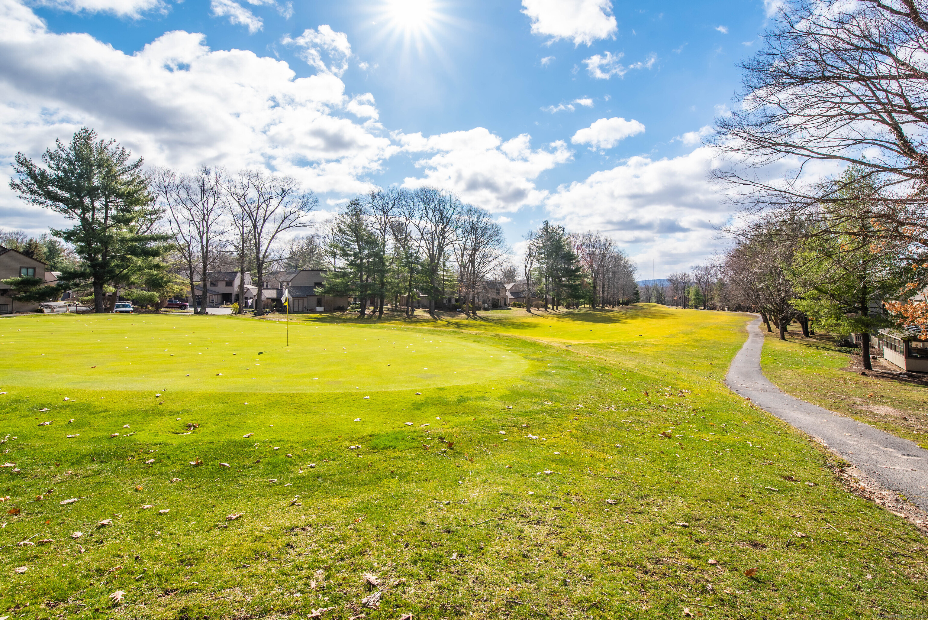 11 Great Meadow Lane #11, Farmington, Connecticut image 30