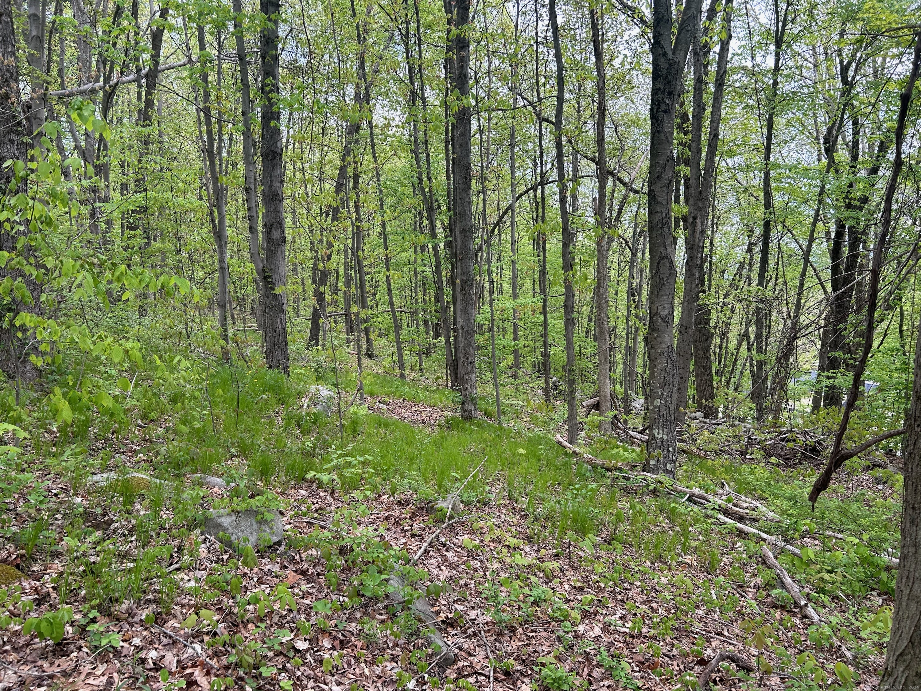 68 Westledge Terrace, Torrington, Connecticut image 7