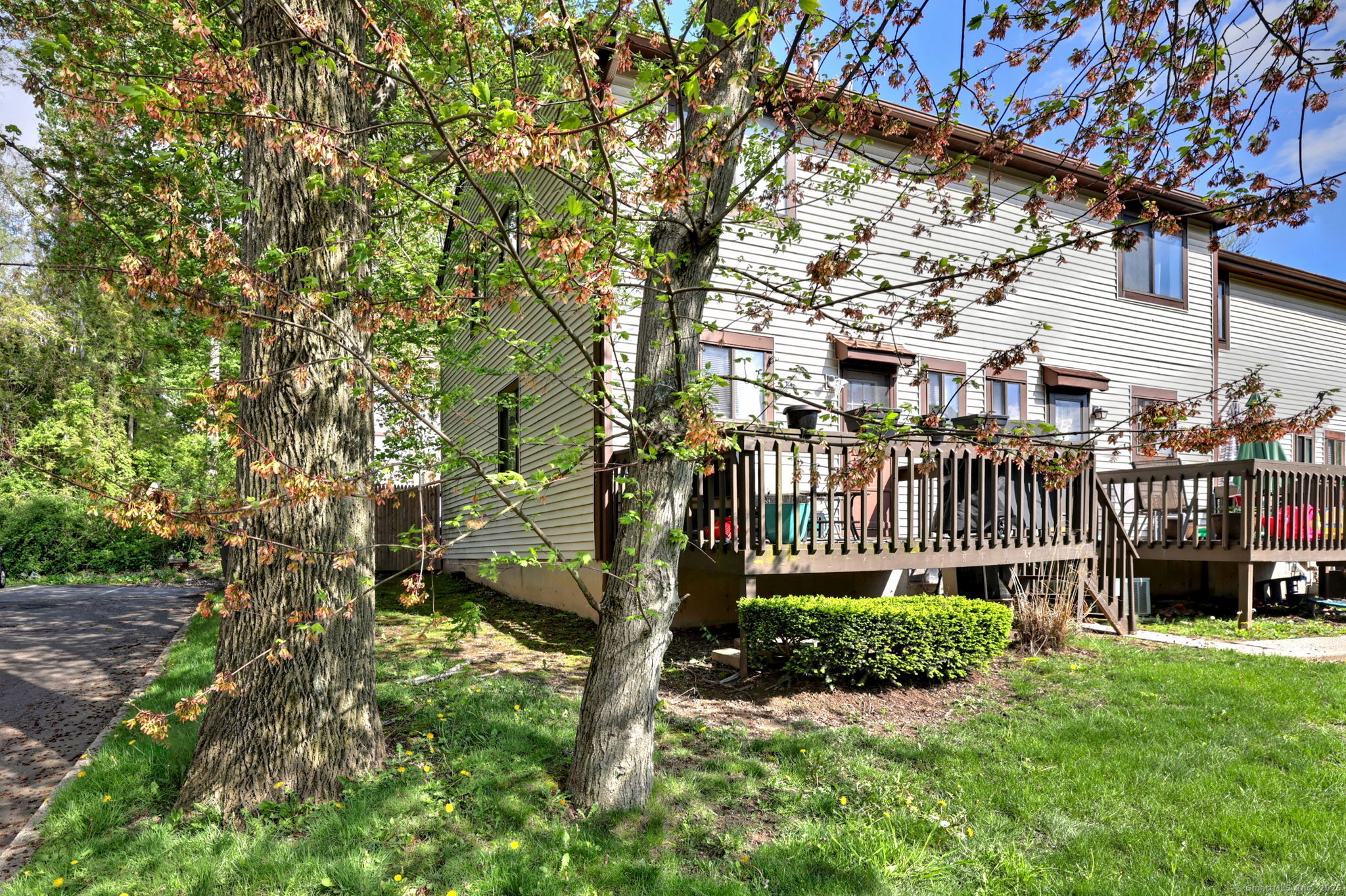 529 Woodward Avenue #APT D, New Haven, Connecticut image 5