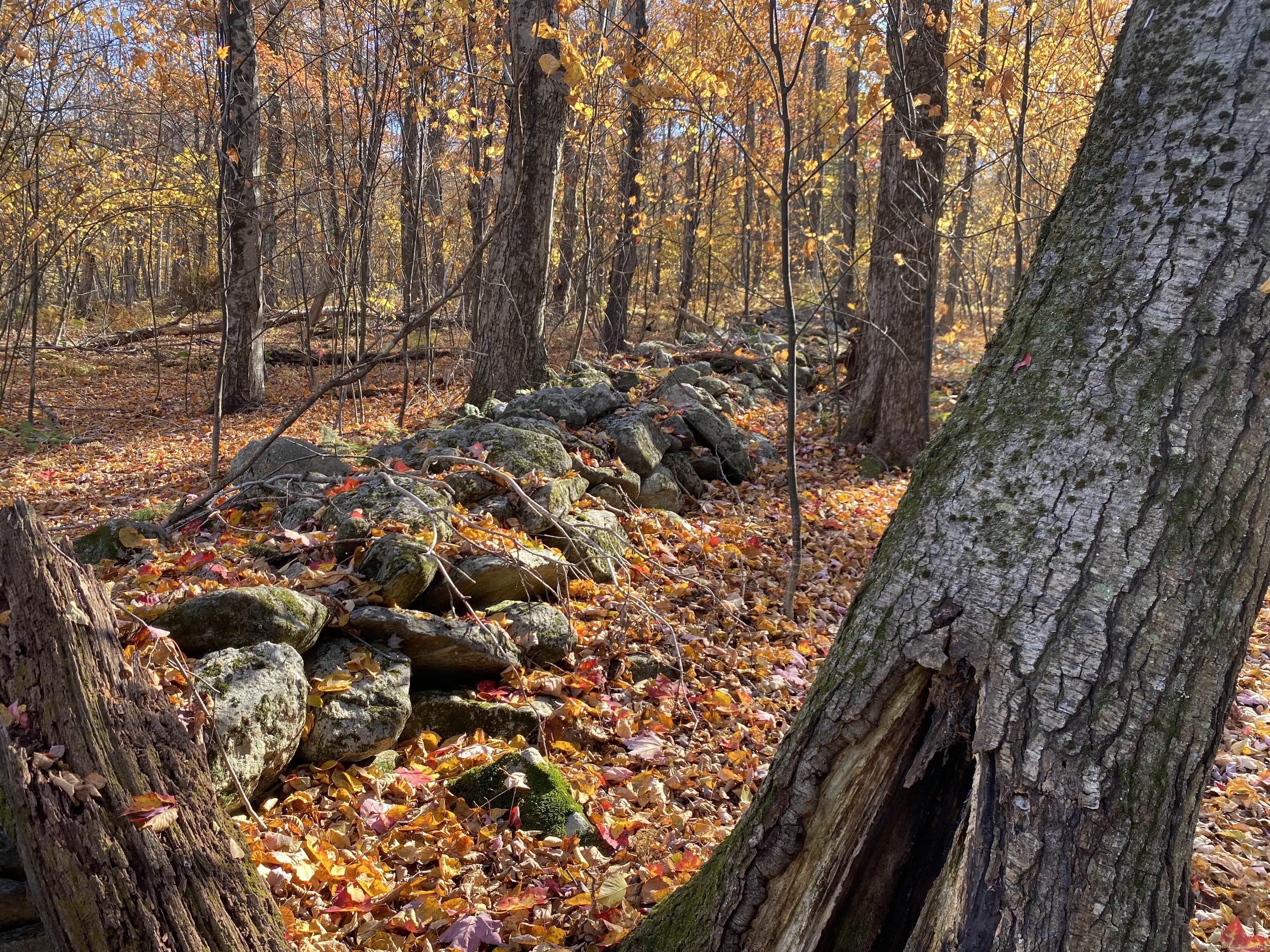 Lot 7 0 Silver Hill Road, Sharon, Connecticut image 4