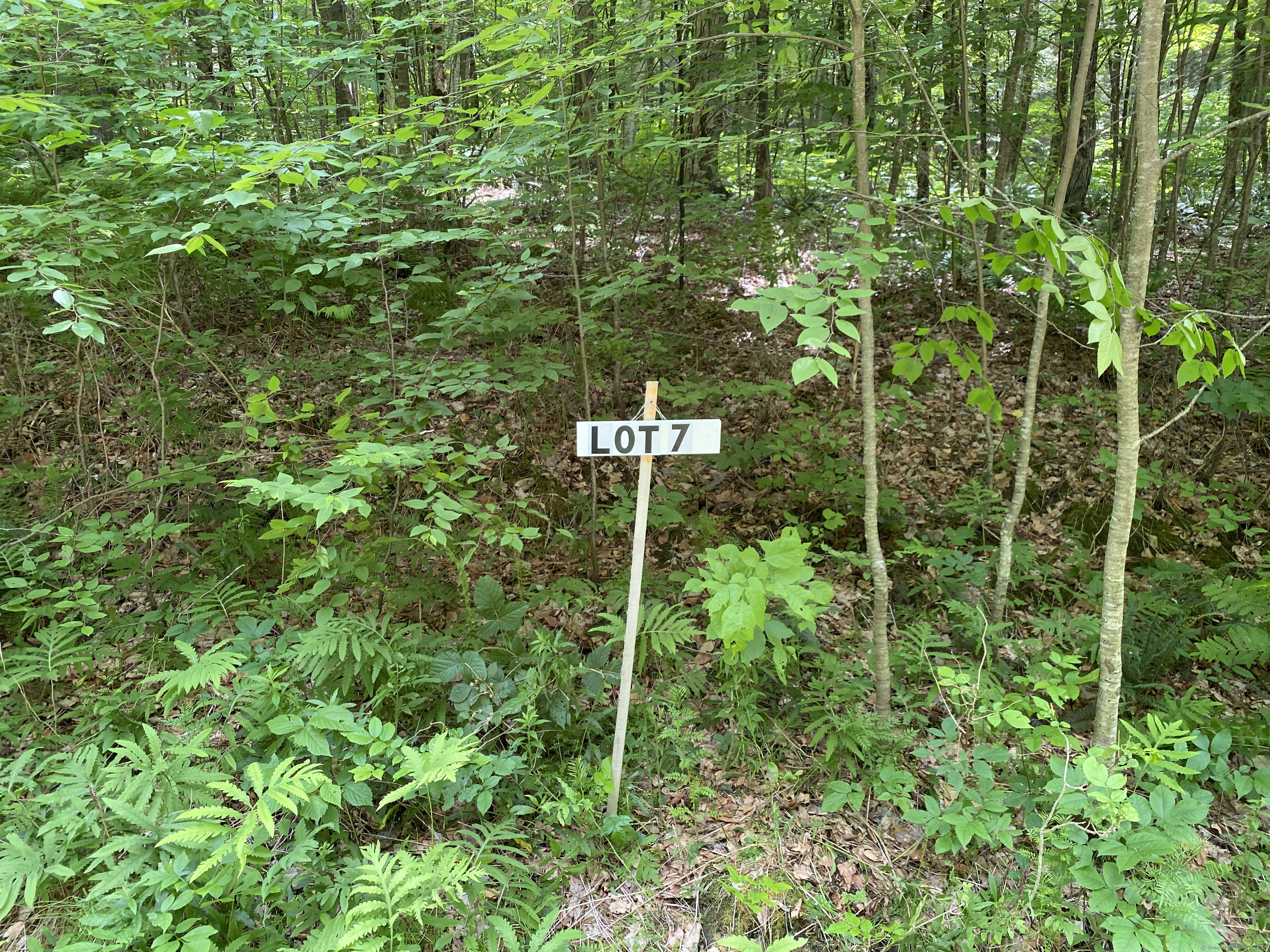 Lot 7 0 Silver Hill Road, Sharon, Connecticut image 8