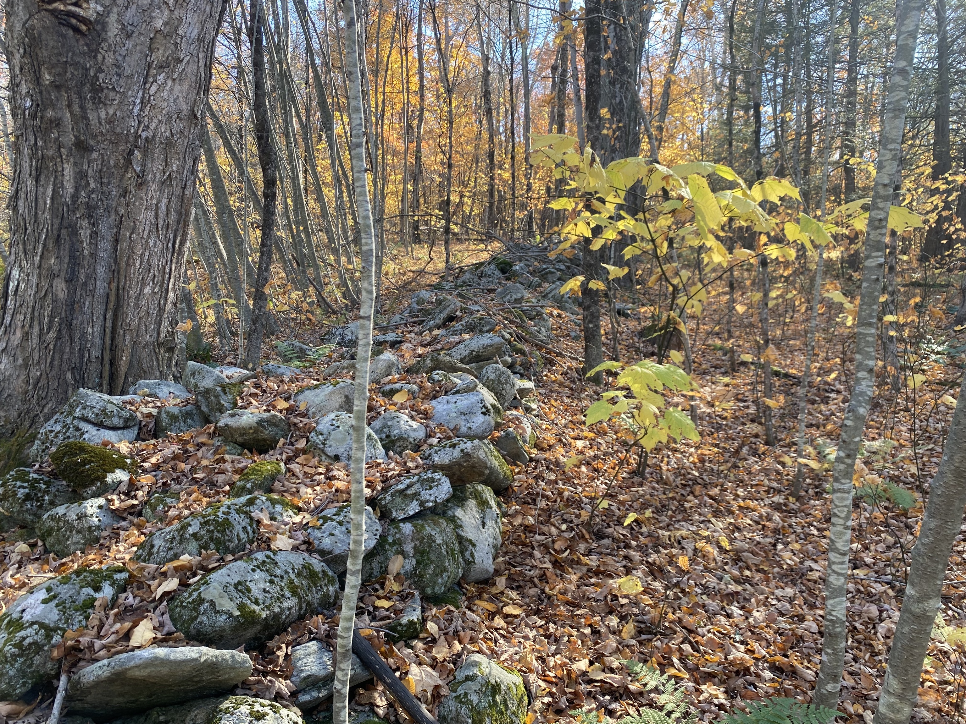 Lot 7 0 Silver Hill Road, Sharon, Connecticut image 3
