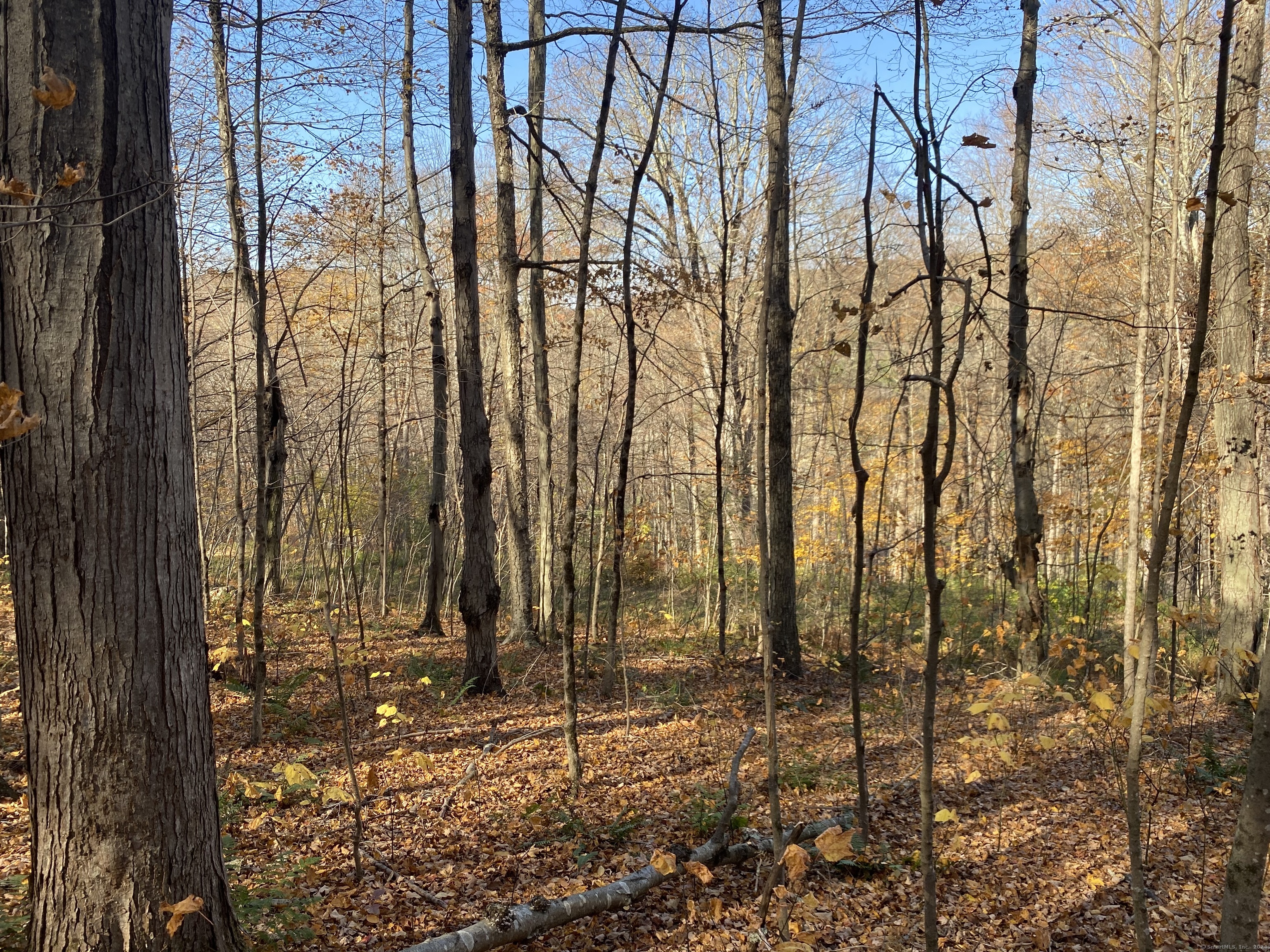 Lot 7 0 Silver Hill Road, Sharon, Connecticut image 7