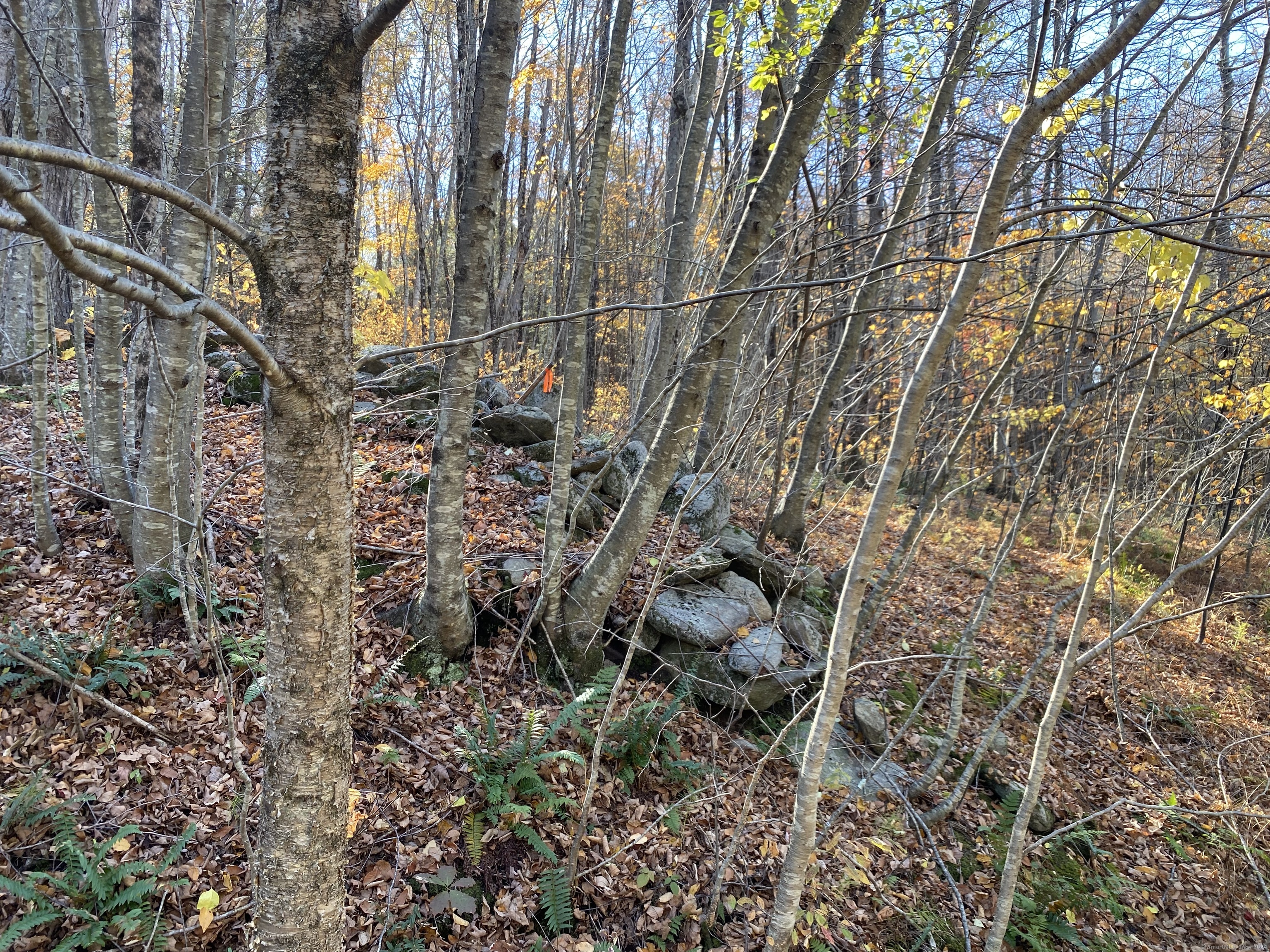 Lot 7 0 Silver Hill Road, Sharon, Connecticut image 2