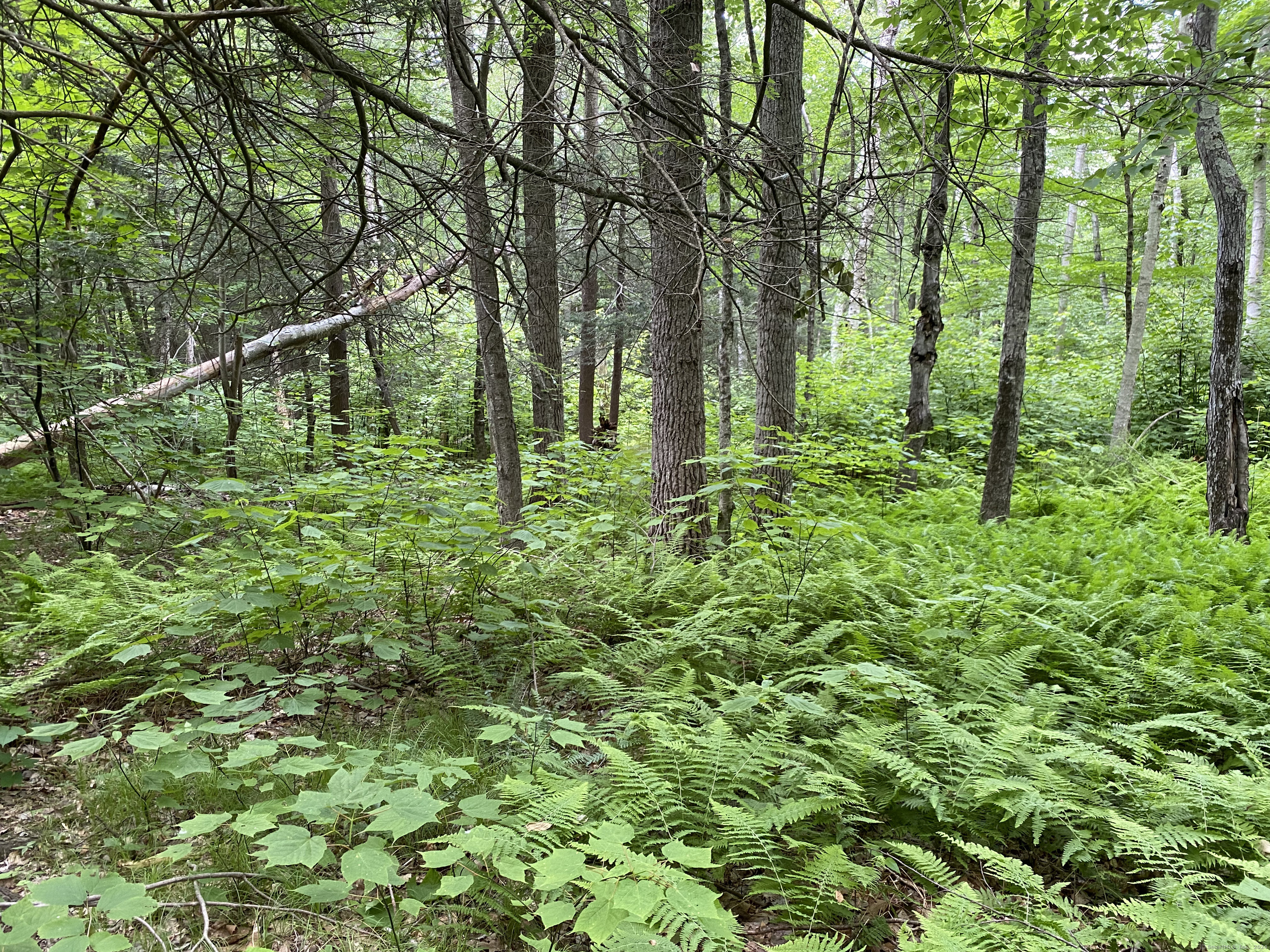 Lot 7 0 Silver Hill Road, Sharon, Connecticut image 6