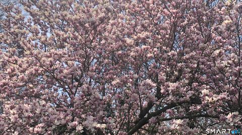 Tiny photo for 248 Soundview Avenue, Shelton, CT 06484 (MLS # 24147704)