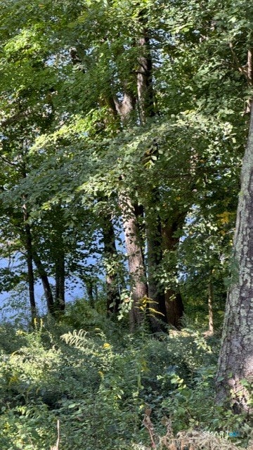 Tiny photo for 120 Lower Fish Rock Road, Southbury, CT 06488 (MLS # 24208563)