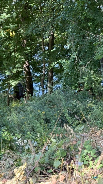 Tiny photo for 120 Lower Fish Rock Road, Southbury, CT 06488 (MLS # 24208563)