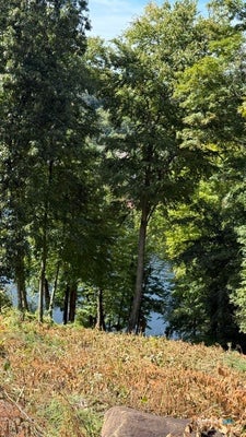 120 LOWER FISH ROCK RD, SOUTHBURY, CT 06488 - Image af1093ca2fdfe478ae4e1d10a47774d6/3238650573
