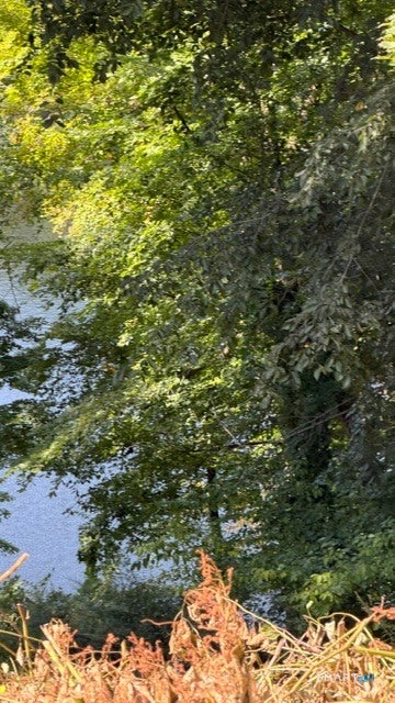 Tiny photo for 120 Lower Fish Rock Road, Southbury, CT 06488 (MLS # 24208563)