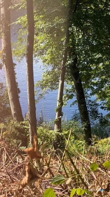 Tiny photo for 120 Lower Fish Rock Road, Southbury, CT 06488 (MLS # 24208563)