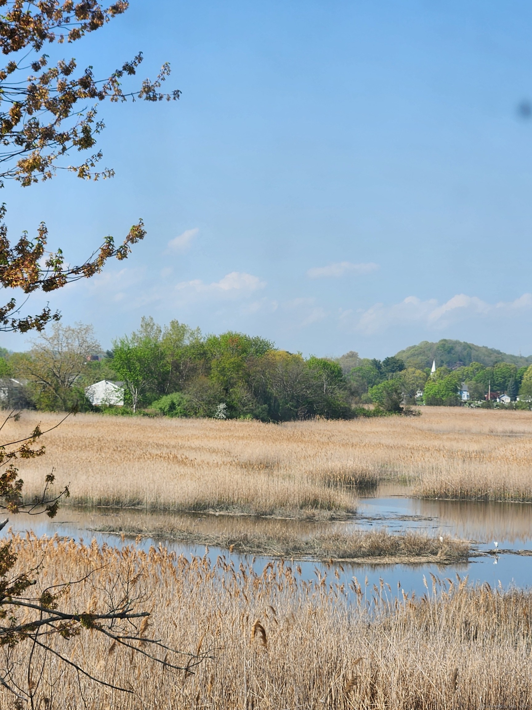 16 Vista Drive, East Haven, Connecticut image 18