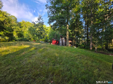 Tiny photo for 20 Fox Brook Road, Hartland, CT 06027 (MLS # 24199533)