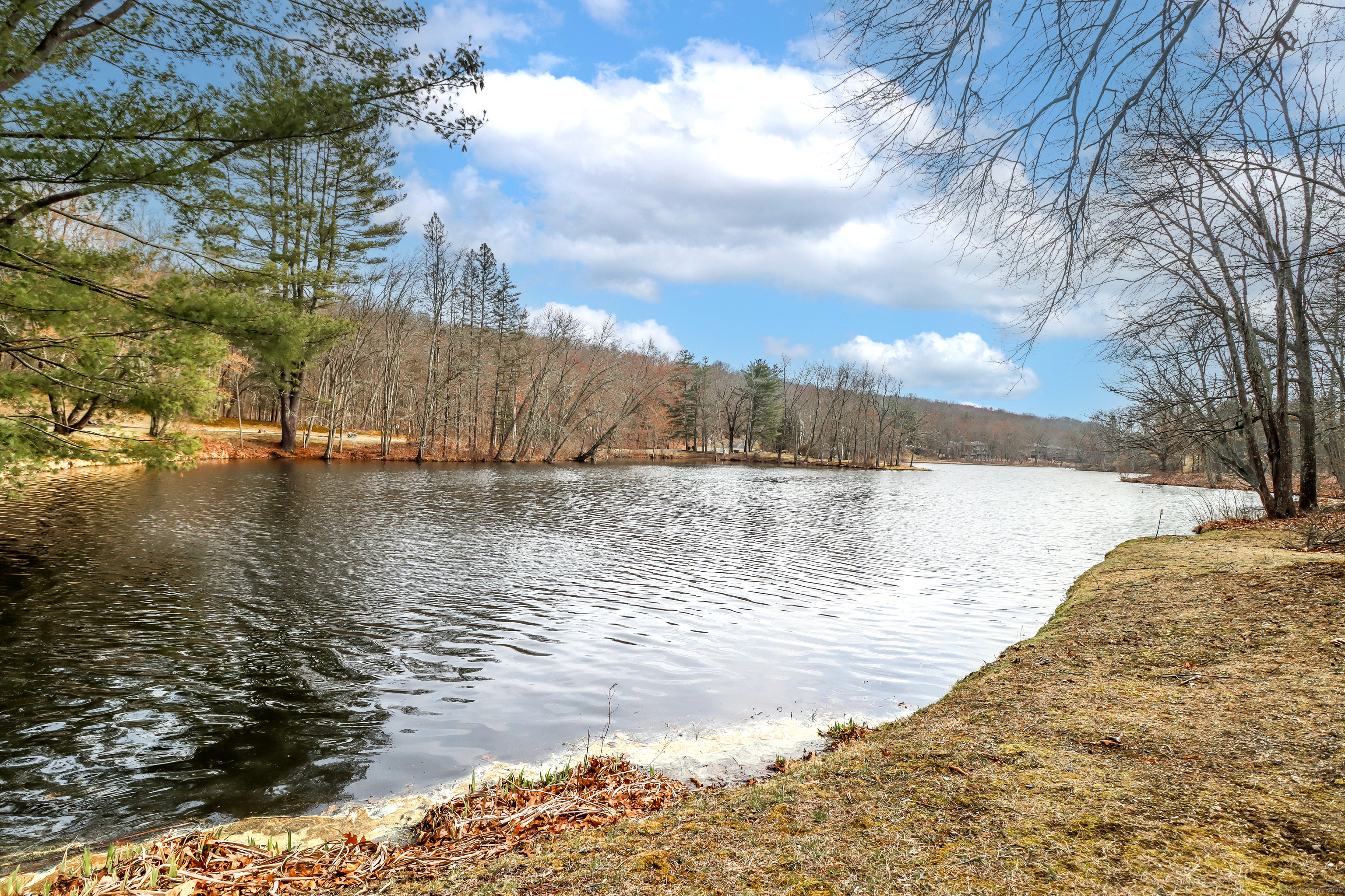 44 Woods Way #44, Woodbury, Connecticut image 31