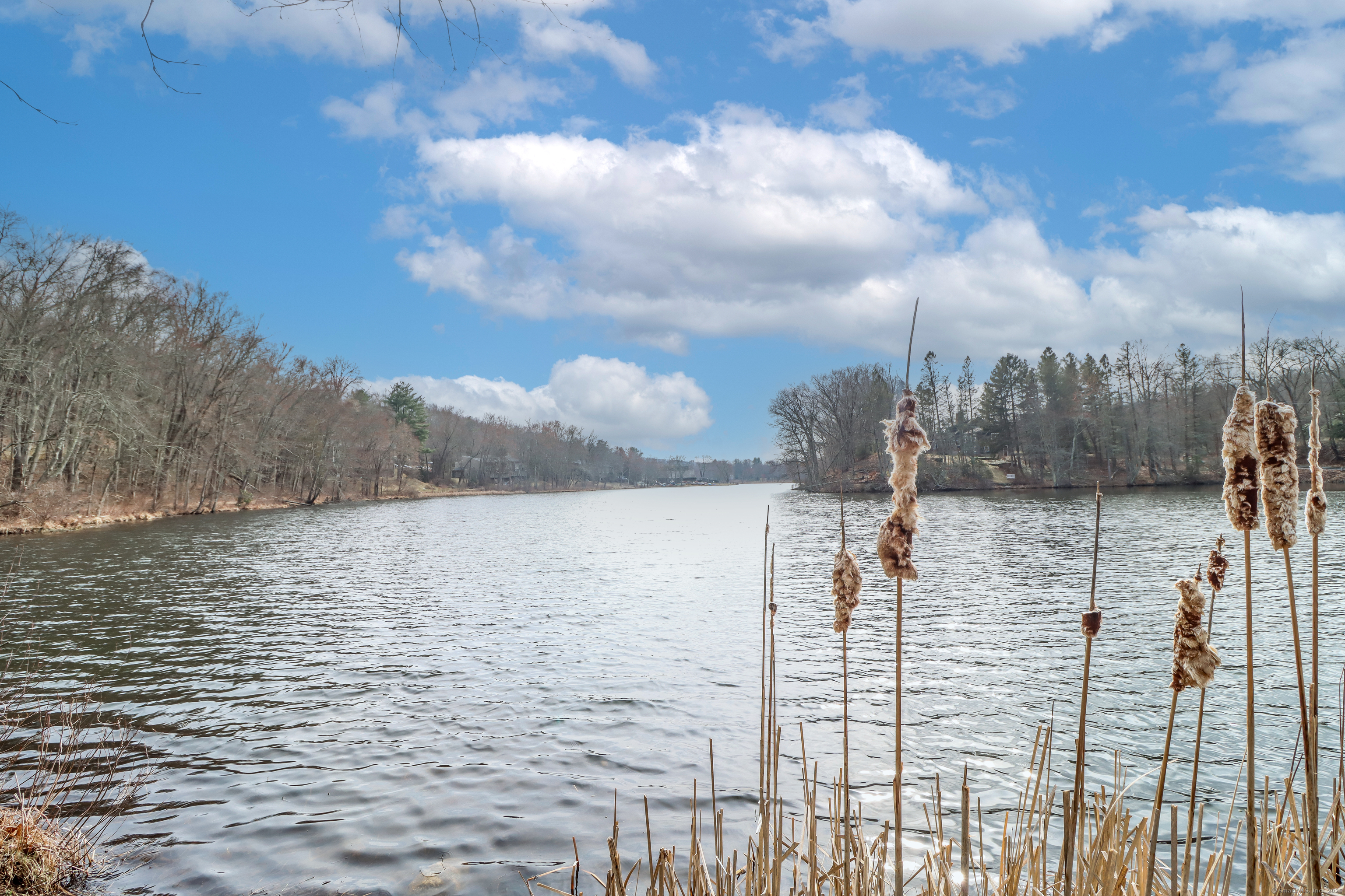 44 Woods Way #44, Woodbury, Connecticut image 29