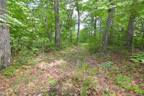 Vacant Land For Sale - Montoe Road<br/> Waterbury, CT 06701