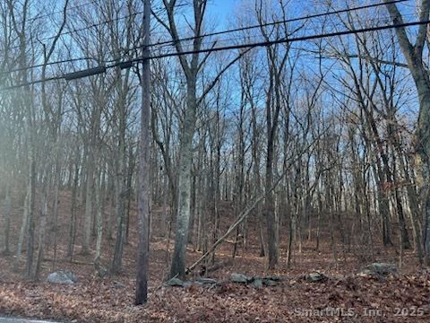 Tiny photo for 549 Cutlers Farm Road, Monroe, CT 06468 (MLS # 24143332)