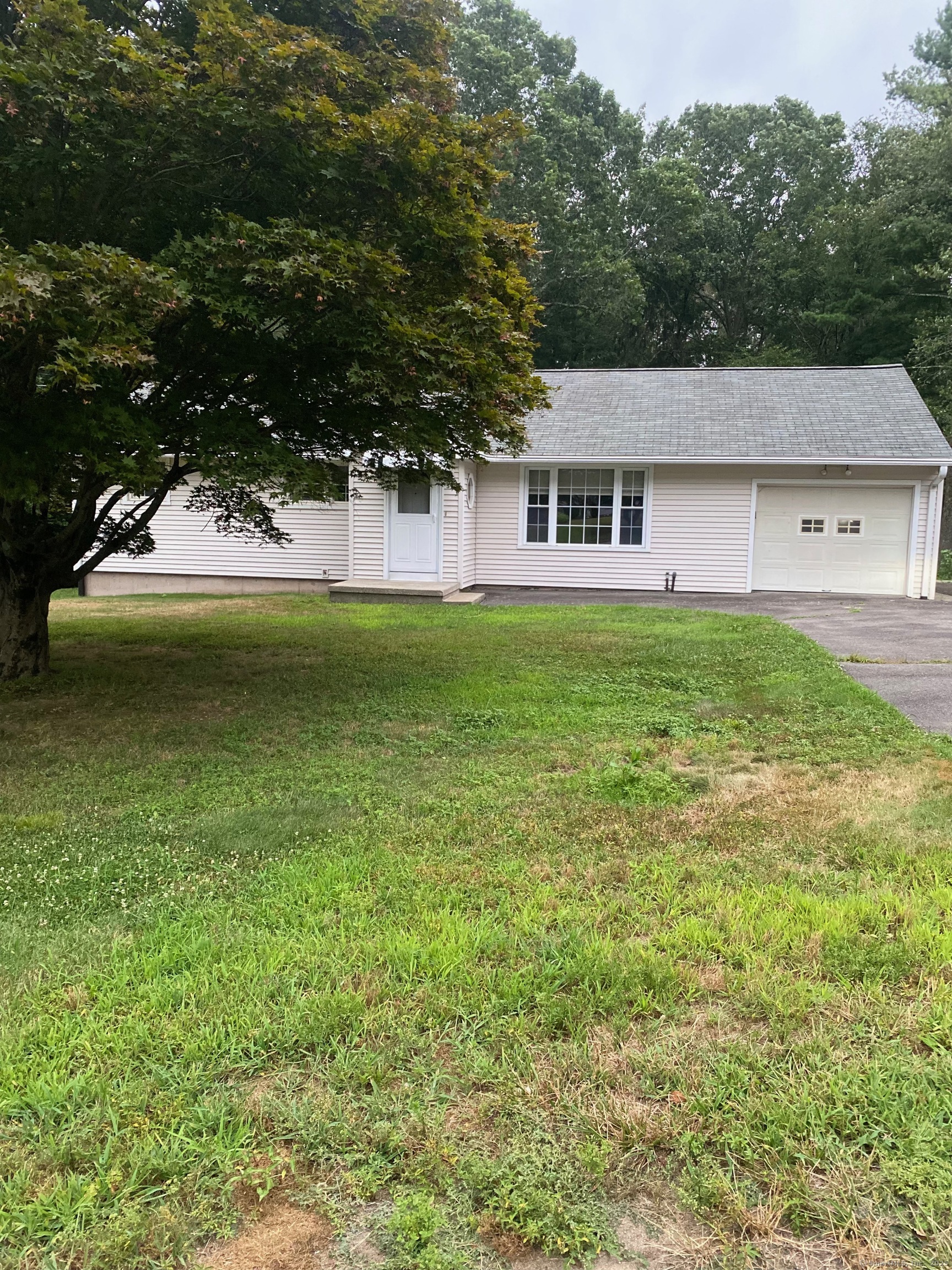 59 Chestnut Drive