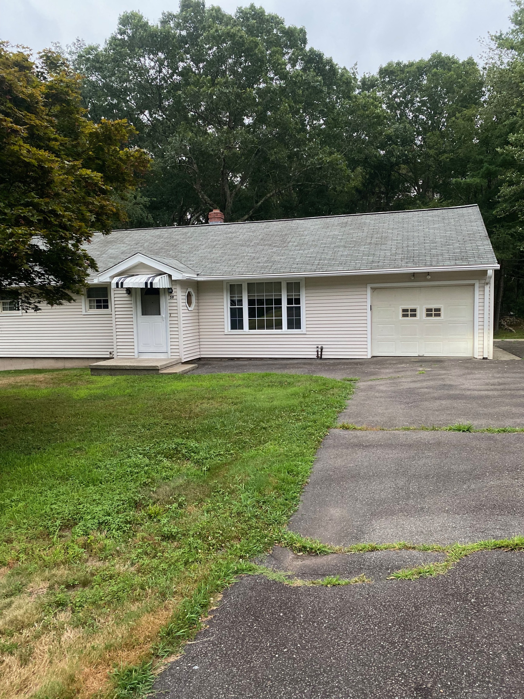 59 Chestnut Drive