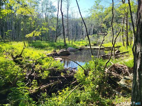 Tiny photo for 305 Tripp Hollow Road, Brooklyn, CT 06234 (MLS # 24190434)