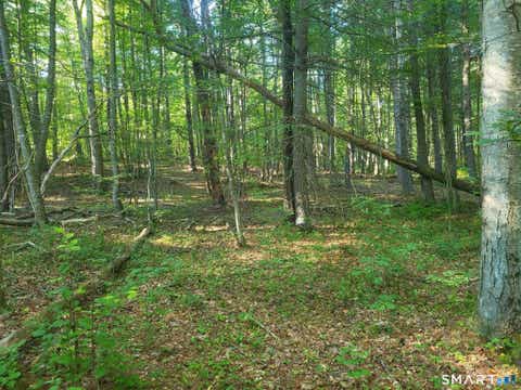 Tiny photo for 305 Tripp Hollow Road, Brooklyn, CT 06234 (MLS # 24190434)