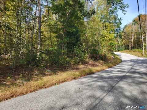 Tiny photo for 305 Tripp Hollow Road, Brooklyn, CT 06234 (MLS # 24190434)
