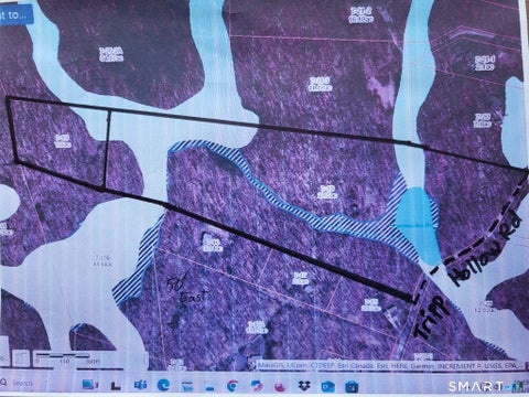 Tiny photo for 305 Tripp Hollow Road, Brooklyn, CT 06234 (MLS # 24190434)