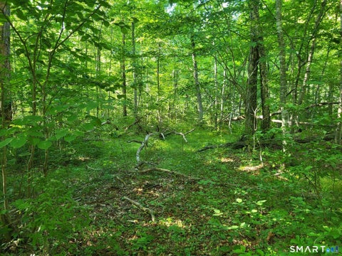 Tiny photo for 305 Tripp Hollow Road, Brooklyn, CT 06234 (MLS # 24190434)