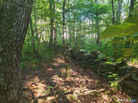 Tiny photo for 305 Tripp Hollow Road, Brooklyn, CT 06234 (MLS # 24190434)