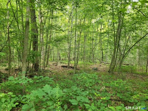 Tiny photo for 305 Tripp Hollow Road, Brooklyn, CT 06234 (MLS # 24190434)