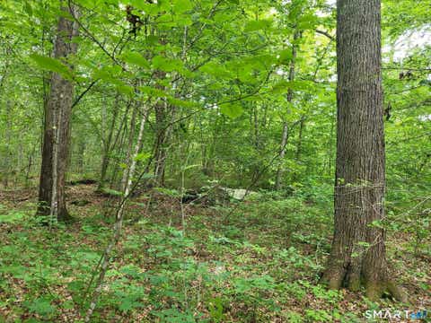 Tiny photo for 305 Tripp Hollow Road, Brooklyn, CT 06234 (MLS # 24190434)
