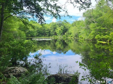 Tiny photo for 305 Tripp Hollow Road, Brooklyn, CT 06234 (MLS # 24190434)
