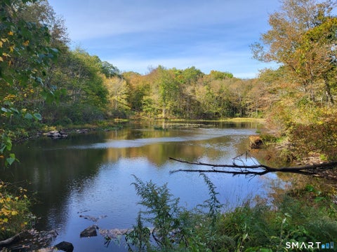 Tiny photo for 305 Tripp Hollow Road, Brooklyn, CT 06234 (MLS # 24190434)