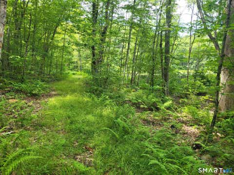 Tiny photo for 305 Tripp Hollow Road, Brooklyn, CT 06234 (MLS # 24190434)