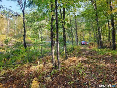 Tiny photo for 305 Tripp Hollow Road, Brooklyn, CT 06234 (MLS # 24190434)
