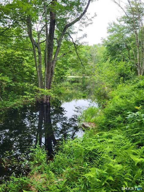 Tiny photo for 305 Tripp Hollow Road, Brooklyn, CT 06234 (MLS # 24190434)