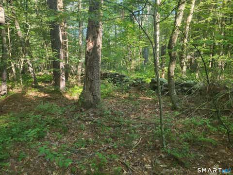 Tiny photo for 305 Tripp Hollow Road, Brooklyn, CT 06234 (MLS # 24190434)