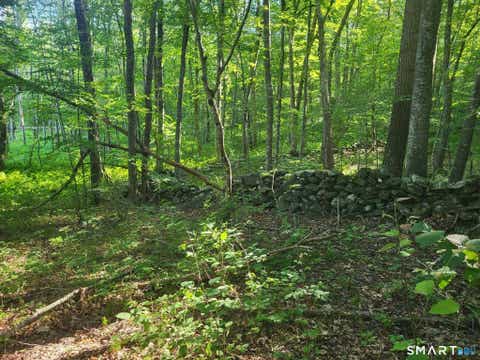 Tiny photo for 305 Tripp Hollow Road, Brooklyn, CT 06234 (MLS # 24190434)