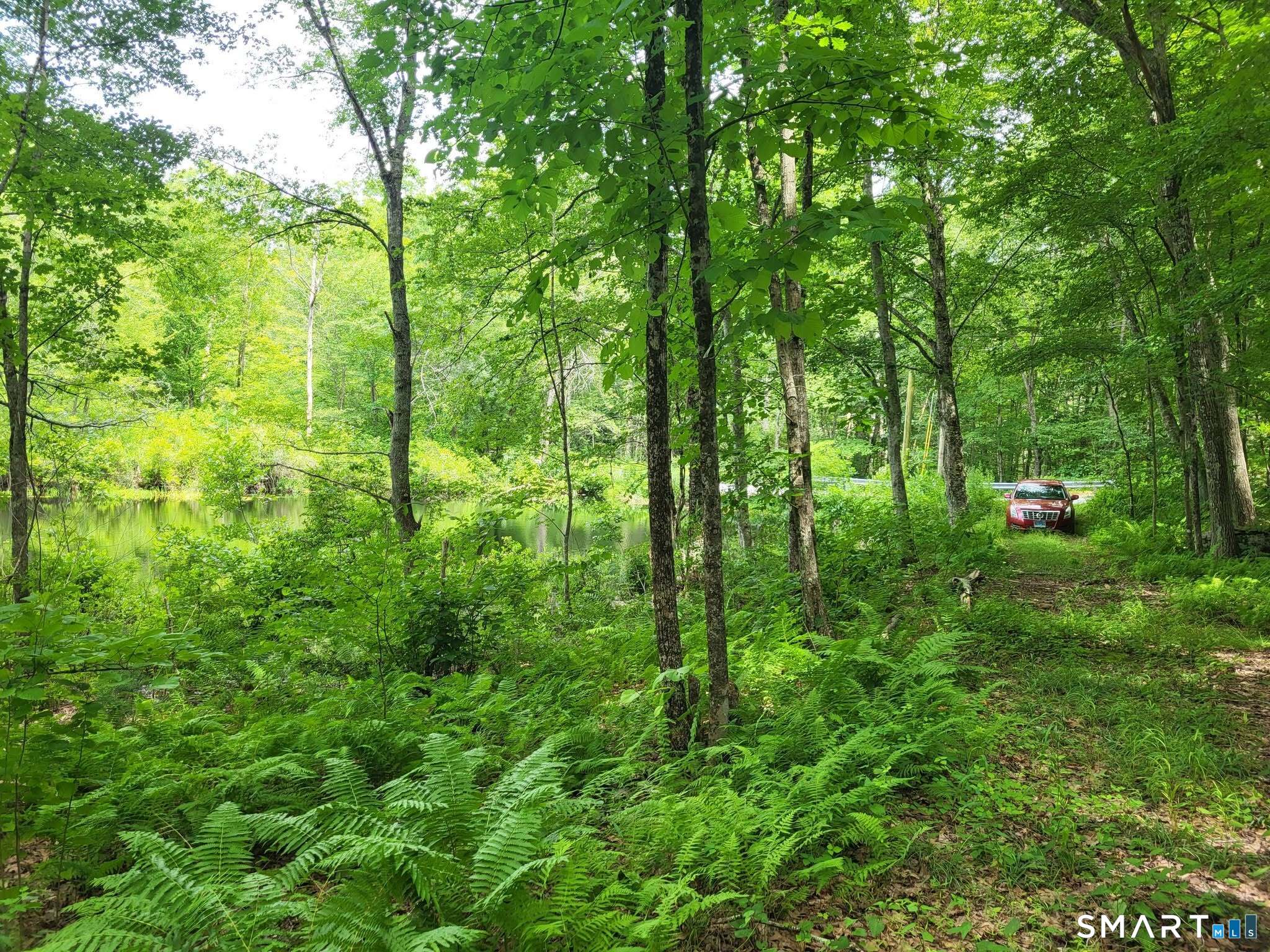305 Tripp Hollow Road