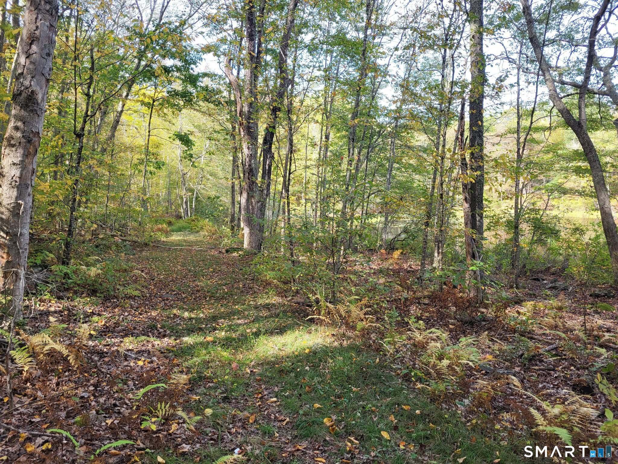 305 Tripp Hollow Road