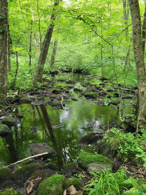 Tiny photo for 305 Tripp Hollow Road, Brooklyn, CT 06234 (MLS # 24190434)