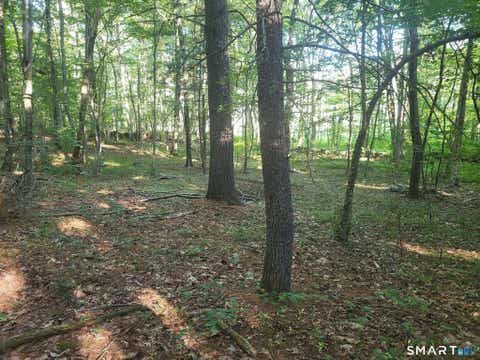 Tiny photo for 305 Tripp Hollow Road, Brooklyn, CT 06234 (MLS # 24190434)