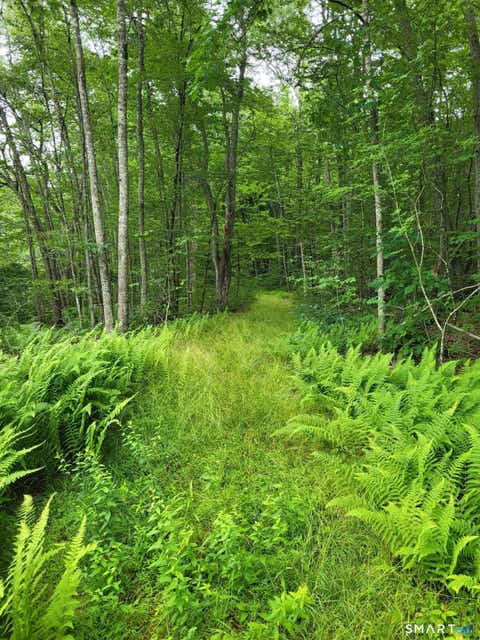 Tiny photo for 305 Tripp Hollow Road, Brooklyn, CT 06234 (MLS # 24190434)