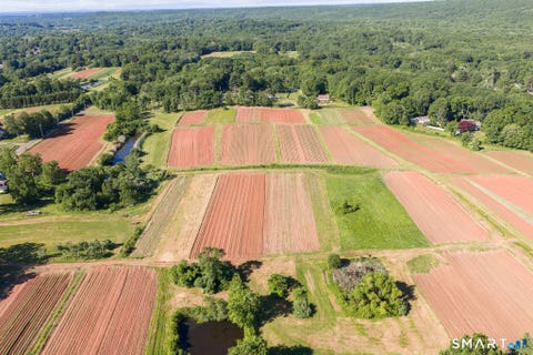 Tiny photo for 810 Dunbar Hill Road, Hamden, CT 06514 (MLS # 24185180)