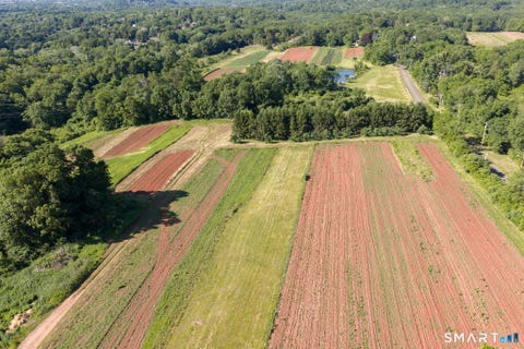 Tiny photo for 810 Dunbar Hill Road, Hamden, CT 06514 (MLS # 24185180)
