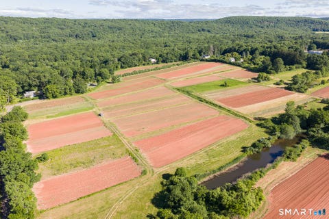 Tiny photo for 810 Dunbar Hill Road, Hamden, CT 06514 (MLS # 24185180)